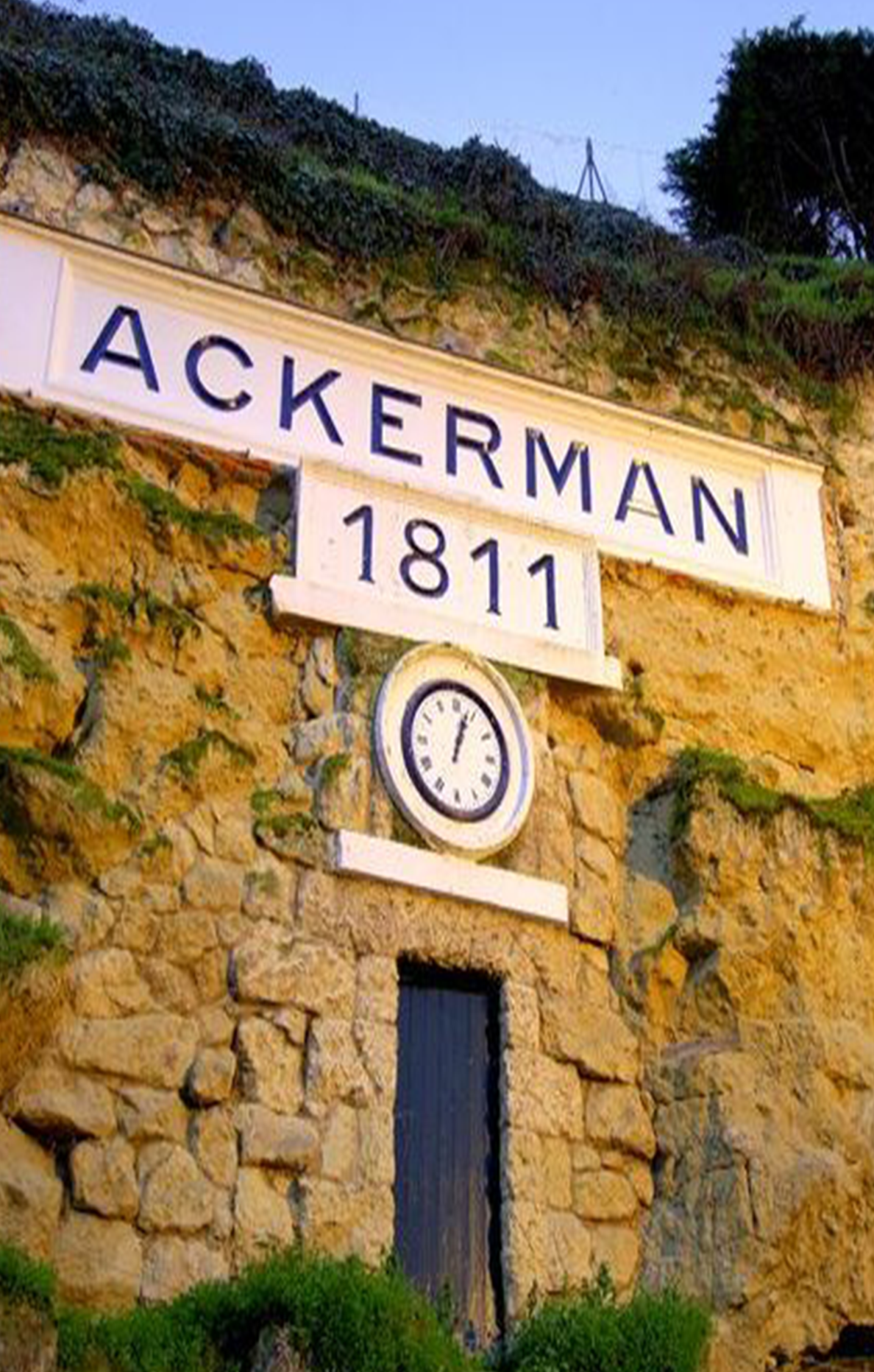 Ackerman Saumur